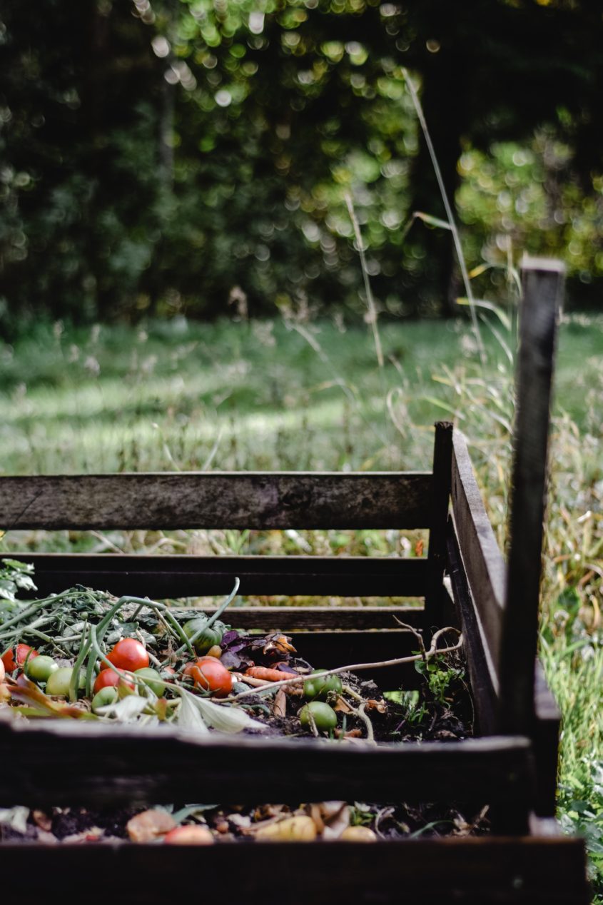 How to activate your compost bin and get rid of nasty, pesty invasion of insects!