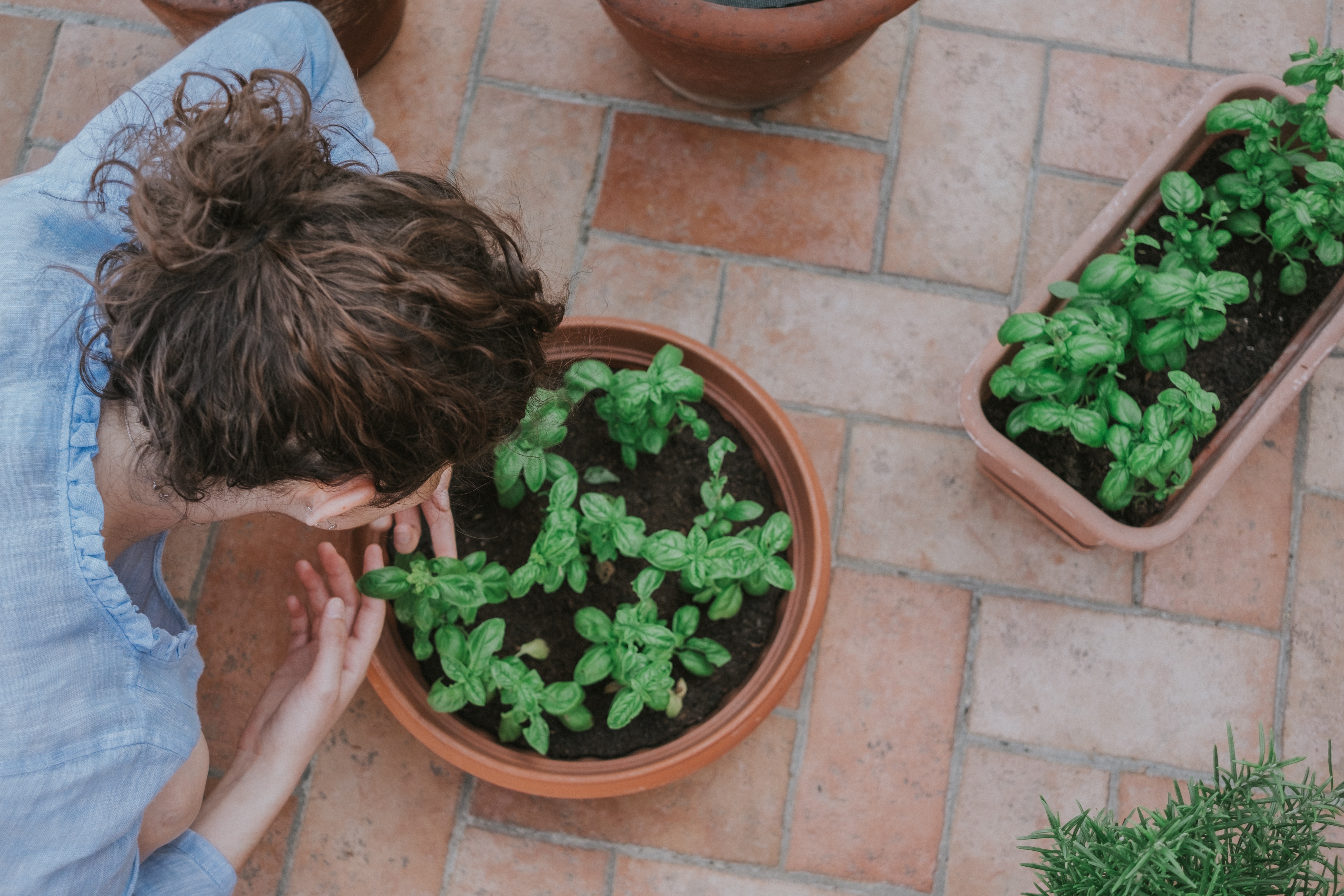 Now is the time to try these 5 simple crops on your balcony!